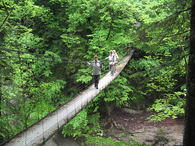 Bodensee 2006