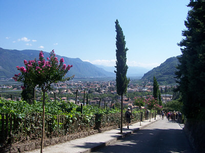 sued_tirol_2009_2 sued_tirol_2009_2