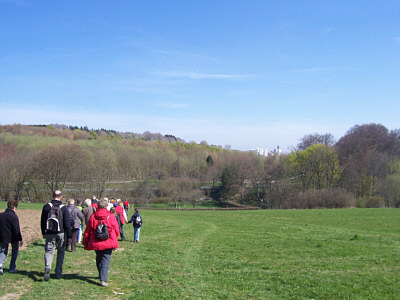 breitscheid_2010_2