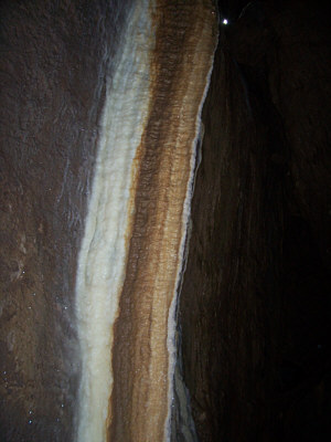 breitscheid_2010_4