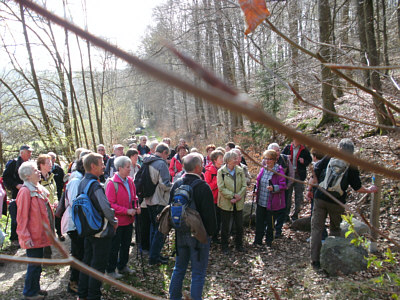 romantischer_hickengrund_1