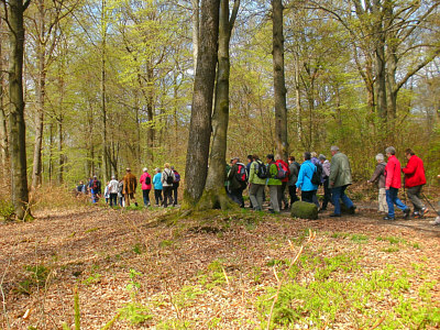 fruehlingserwachen_2011_1