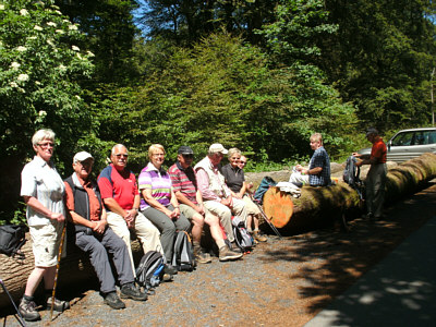 jahreswanderung_2011_6