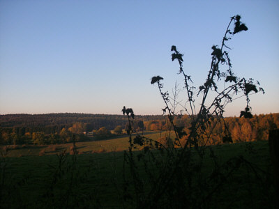 abendwanderung_2011_3