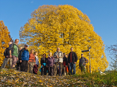 bergmannspfade_2011_1