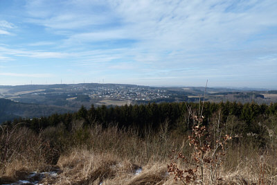 steinerother_kopf_1