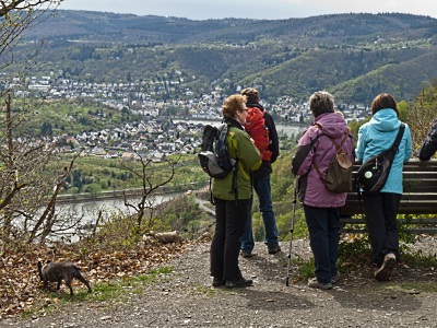 rheingoldbogen_2012_2