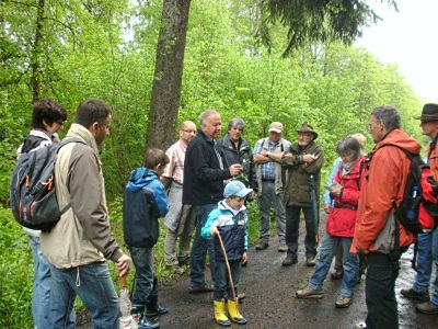 nkw_schimmerich_2012_1