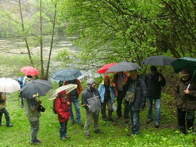 nkw_schimmerich_2012_2