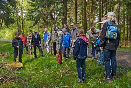 Haubergswanderung mit Förster