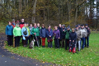 hoehn_2013_11