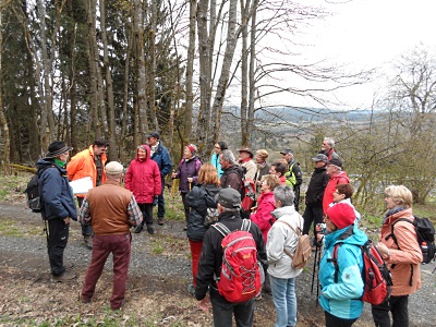 stegskopf_2016_04-1