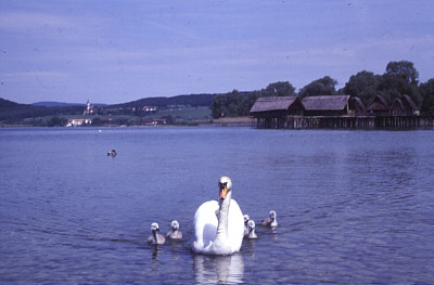 Pfahlbauten