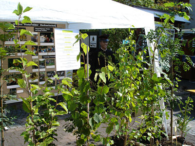 Kreisheimattag 2005