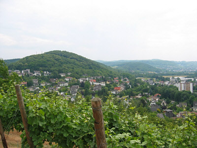 Rheinsteig 2006