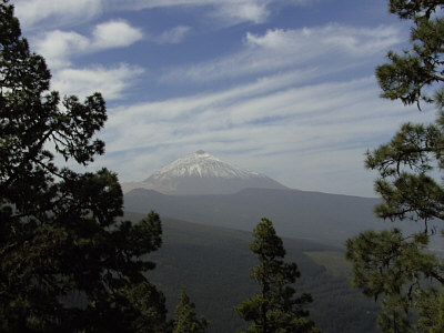 Teneriffa 2008