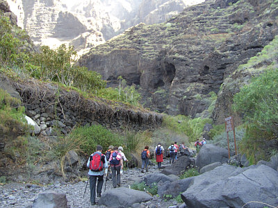 Teneriffa 2008